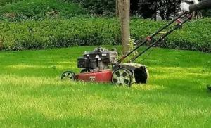 昆山綠化公司淺談園林綠化養護的重要性！